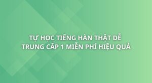 tu-hoc-tieng-han-that-de-trung-cap-1-2
